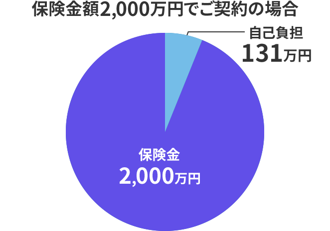 保険金額2,000万円でご契約の場合　自己負担131万円　保険金2,000万円
