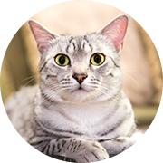 �G�W�v�V�����}�E