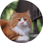 �G�L�]�`�b�N�����O�w�A�[