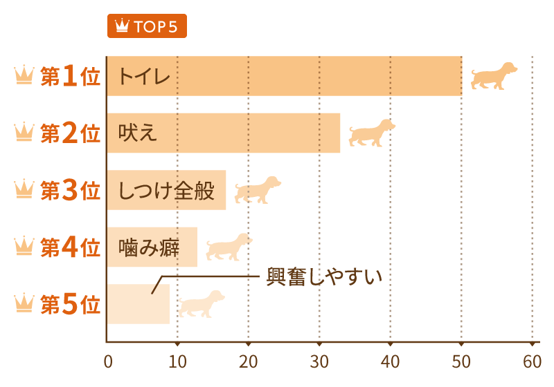 �����̍��育�ƁE���Y�݁@TOP�T