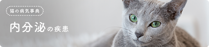 �L�̕a�C���T�F������̎���