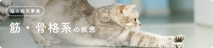 �L�̕a�C���T�F�؁E���i�n�̎���