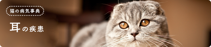 �L�̕a�C���T�F���̎���