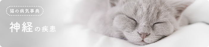 �L�̕a�C���T�F�_�o�̎���