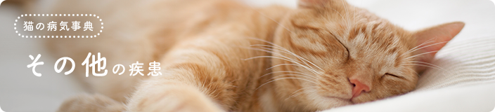 �L�̕a�C���T�F���̑��̎���