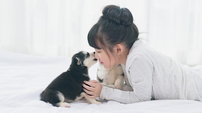 犬が人の手足や床を舐める理由は?舐められても病気にはならない?