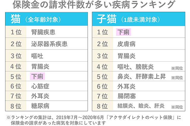 保険金の請求件数が多い疾病ランキング 【猫(全年齢対象)】 1位:腎臓疾患 2位:泌尿器系疾患 3位:嘔吐 4位:胃腸炎 5位:下痢 6位:心筋症 7位:外耳炎 8位:糖尿病 【子猫(1歳未満対象)】 1位:下痢 2位:皮膚病 3位:胃腸炎 4位:嘔吐、膀胱炎(※同位) 5位:鼻炎、肝酵素上昇(※同位) 6位:外耳炎 7位:腸閉塞 8位:結膜炎、瞼炎、肝炎(※同位) ※ランキングの集計は、2019年7月〜2020年6月「アクサダイレクトのペット保険」に保険金の請求があった病気を対象にしています