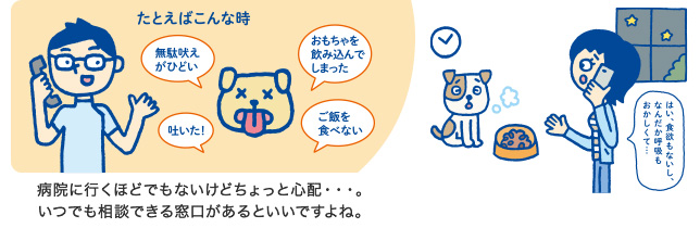 �a�@�ɍs���قǂł��Ȃ����ǂ�����ƐS�z�E�E�E�B���ł����k�ł��鑋��������Ƃ����ł���ˁB