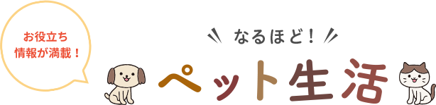 ���𗧂���񂪖��ځI�Ȃ�قǁI �y�b�g����